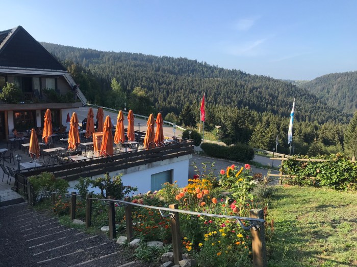 HE38Ip1jTV63D+xPCED+zg